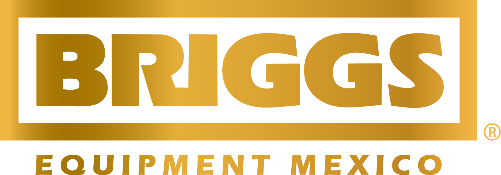 BRIGGS Equipment México
